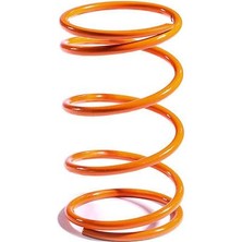 Setup Motorcycle Xmax-Xcıty 250CC Tansiyon Yayı