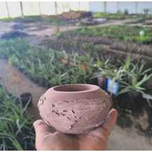 Doğa Garden Dünya Şeklinde Taş Saksı