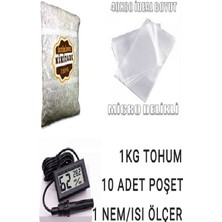 Tohumcu Kikizade İstiridye Mantarı Başlangıç Seti ( 1 kg Tohum ve Nem Ölçer + 10 Adet Micro Delikli Torba)