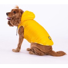 Pawstar Railway Sarı Su Itici Küçük Irk Köpek Yelek Yağmurluk