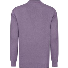 Felix Hardy Erkek Polo Yaka Uzun Kollu Kazak