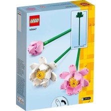 LEGO® Iconic Lotus Çiçekleri 40647 - Dekoratif, Koleksiyonluk ve Sergilenebilir Çiçek Modeli Yapım Seti (220 Parça)