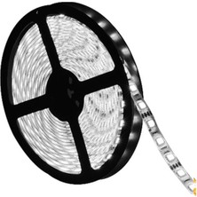 Robo Dünya 8MM/240 LED Iç Mekan Ip 20 Beyaz Şerit LED 5 Metre