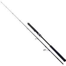 Ryuji Seawolf 180 cm 400-800 gr Jig Kamış