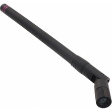 Robo Dünya Rf Anten 2.4ghz Whıp Tılt Sma Erkek