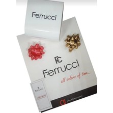 Ferrucci Silver-Gold  Renk Takvimli Business Erkek Kol Saati