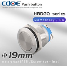 Robo Dünya 19MM Metal Buton Düz Paslanmaz/çelik IP65 5A 250VAC 2p 1no