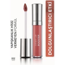 Dewy Lip Booster Dolgun Görünüm Veren Nemlendirici Dudak Parlatıcısı (002 Castle) 8690604619047