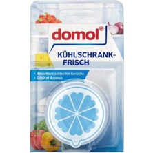 Domol Küçük Kokusuz Buzdolabı Deodorantı Kartuş ve Karbon Filtre 40 Gr.