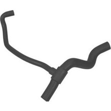 Parçafix Radyatör Hortumu Alt Clio 1