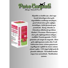 PureCanpati Köpek Destek Vitamin Seti Silycumin Vitalidog bio Urinamin