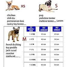 Boni Bon Collection Design "6 Farklı Renk Seçeneği" ile Yumuşak Kumaş Kaydırmaz Tabanlı Köpek Ayakkabısı