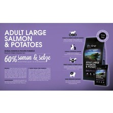 Profine 15 kg Adult Large Somon Etli Yetişkin Köpek Maması