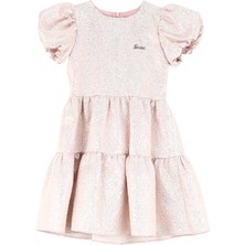 Barbie Düz Pembe Kadın Abiye Elbise BRB4WG-ELB6093