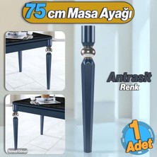 Badem10 Elips Masa Dresuar Ayağı 75 cm Plastik Antrasit Ayak Mutfak Yemek Masası Mobilya Ayakları Antrasit
