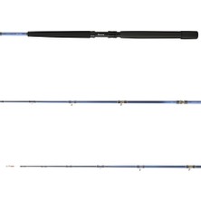 Daiwa Tanacom 200 cm 250-1000 gr Bot Kamış