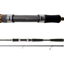 Daiwa New Legalis Seabass 210 cm 10-35 gr Spin Kamış