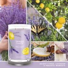 Yankee Candle Lemon Lavender Signature Büyük Mum