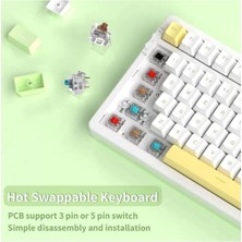 Ata Soft AK992 Rgb 100 Tuş Mekanik Oyuncu Klavyesi Bluetooth Kablolu 2.4g Bağlantılı Red Switch Coiled Kablo