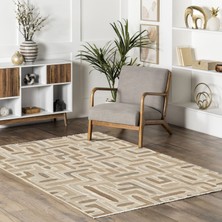 Pastel Home Anti-Alerjik Yıkanabilir Şönil Halı Kilim Eskitme, Modern Desen Oturma Odası, Salon, Çocuk Odası, Mutfak, Koridor Halısı, Yolluk