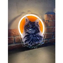 Neonite 'Kedi' Işıklı Ve Uv'li Neon Led Dekoratif Duvar Yazısı Tabelası (24x28cm)