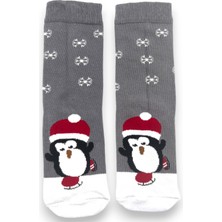 Ciho Socks Cciho Socks Daily 2 Çift Kız Çocuk Penye Pamuklu Okul Çorabı