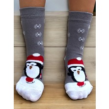 Ciho Socks Cciho Socks Daily 2 Çift Kız Çocuk Penye Pamuklu Okul Çorabı