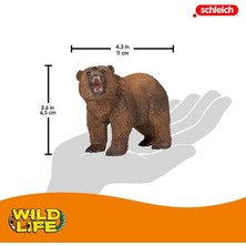 Schleich Boz Ayı Oyuncak Figürü