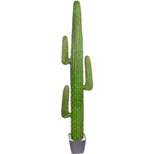 Herdekora Yapay Kaktüs Saksılı 175 Cm.