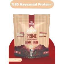 Pawgo Puppy Prime 2 Kg | Kuzu Etli | Yavru Köpek Maması