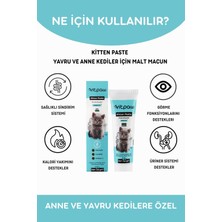 Vitpaw Kitten Paste 100 Gr.(Yavru & Anne Kedi Direnç Sistemi Destekleyici Multivitamin Macun)