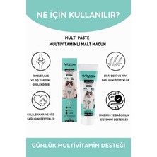 Vitpaw Multi Paste 100 Gr.(KEDİLER İÇİN BAĞIŞIKLIK GÜCLENDİRİCİ VE TÜY YUMAĞI ÖNLEYİCİ MULTİVİTAMİN)