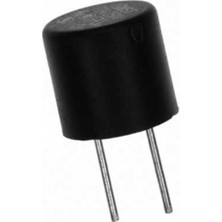 Robo Dünya Kondansatör Tipi Polyfuse 5 Amper