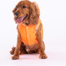 Neon Turuncu Railway Yelek Köpek Yeleği Köpek Kıyafeti Köpek Yağmurluk