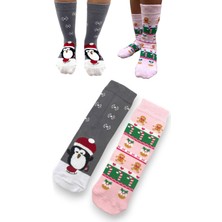 Ciho Socks Cciho Socks Daily 2 Çift Kız Çocuk Penye Pamuklu Okul Çorabı