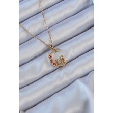 Clariss 316L Çelik Zincir Altın Renk Kırmızı Gül Detay Kedi Figür Zirkon Taşlı Ay Kolye