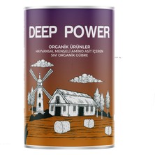 Naturwın Deep Power Hayvansal Amino Asit 1 Litre