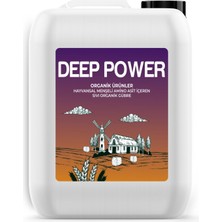 Naturwın Deep Power Hayvansal Amino Asit 1 Litre