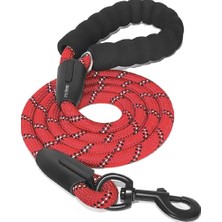 Patici Miss Fitil Halat Kedi Köpek Gezdirme Tasması