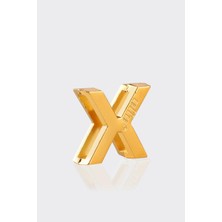 Gold Charm-X