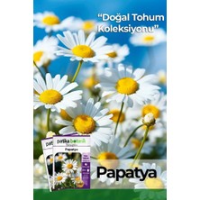 Patika Botanik 100 Adet Tıbbi Aromatik Papatya Tohumu