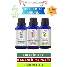 Hikona Heka 3'lü Set (Karanfil Yaprağı - Limon Otu - Okaliptus) Uçucu Yağı %100 Saf ve Doğal -3X10ML