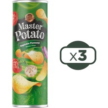 Master Potato Sebze Çeşnili Cips 160 gr 3 Adet