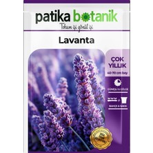 Patika Botanik 100 Adet Lavanta (Lavandula) Çiçek Tohumu