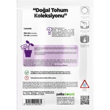 Patika Botanik 100 Adet Lavanta (Lavandula) Çiçek Tohumu