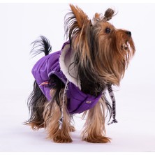 Pawstar Mor Railway Anorak Yelek Köpek Yeleği Köpek Kıyafeti Köpek Yağmurluk