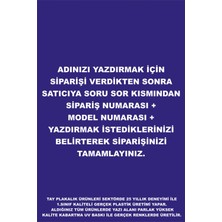 Oto Plakalık Hayvan Figürlü Isimli Kişiye Özel Kırılmaz Uv Kabartmalı 2 Adet Takmatik Plakalık