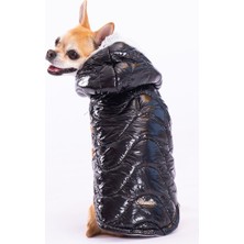 Pawstar Siyah Light Wave Anorak Yelek Köpek Yeleği Köpek Kıyafeti Köpek Yağmurluk