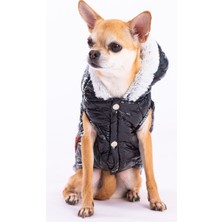 Pawstar Siyah Light Wave Anorak Yelek Köpek Yeleği Köpek Kıyafeti Köpek Yağmurluk