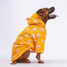 Pawstar Sarı Teddy Puff Orta ve Büyük Irk Köpek Montu Köpek Yağmurluk Köpek Kıyafeti Köpek Elbisesi